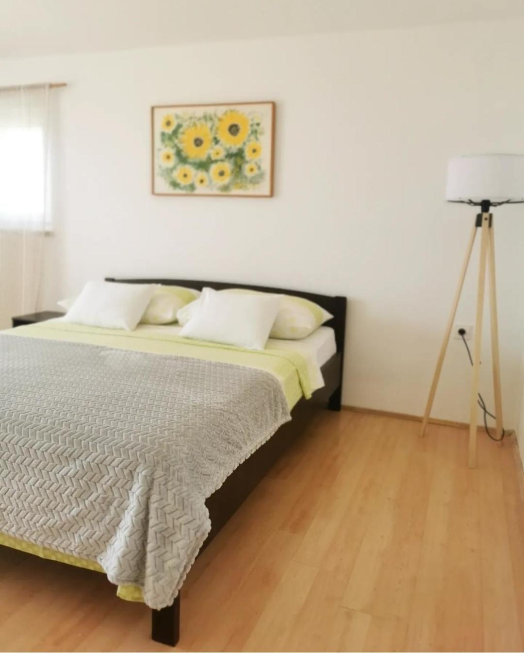 Apartman Skroza โวดีเซ ภายนอก รูปภาพ