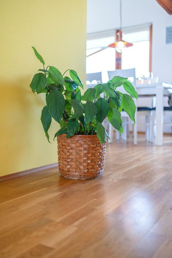 Apartman Skroza โวดีเซ ภายนอก รูปภาพ